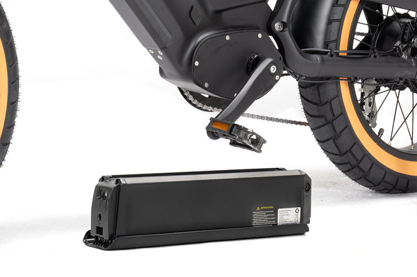 <p>Removable and rechargeable Li-ion battery</p>