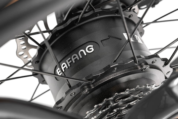 <p>Stable and reliable Bafang motor</p>